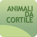 agriumbria-animali-da-cortile