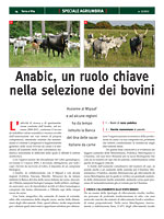 Terra e Vita - Speciale Agriumbria 2012 - Anabic un ruolo chiave nella selezione dei bovini