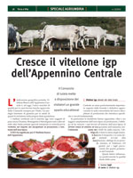 Terra e Vita - Speciale Agriumbria 2012 - Anabic un ruolo chiave nella selezione dei bovini